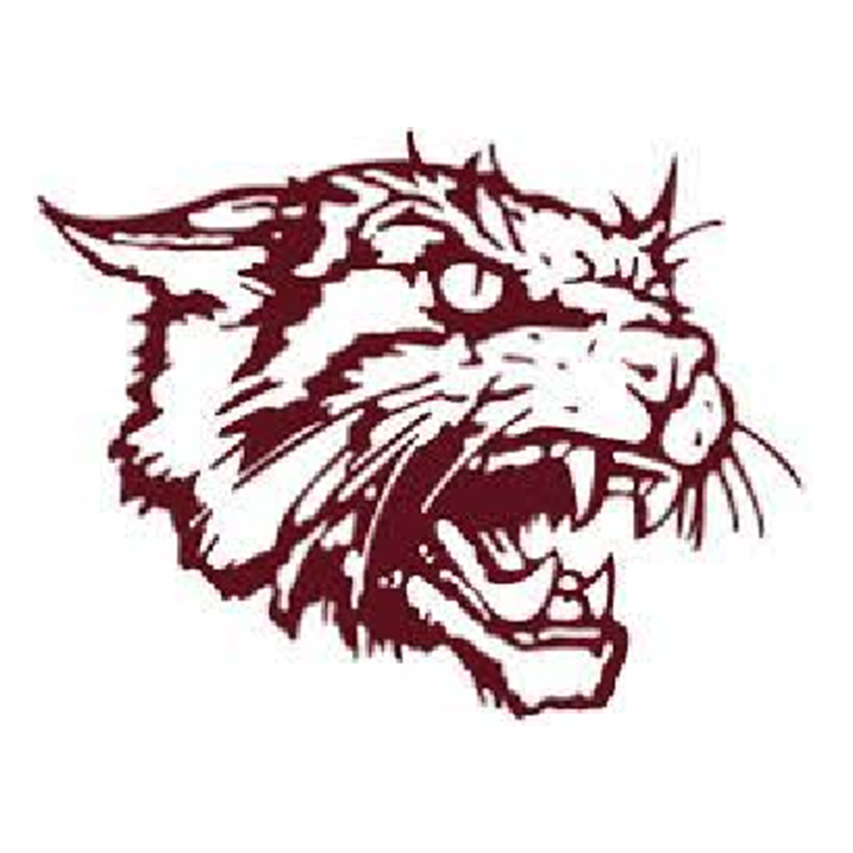 Clear Creek Wildcat