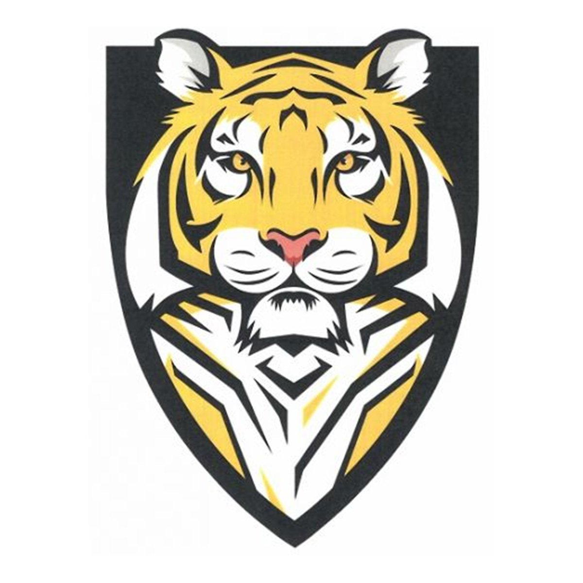 Clear View Tiger
