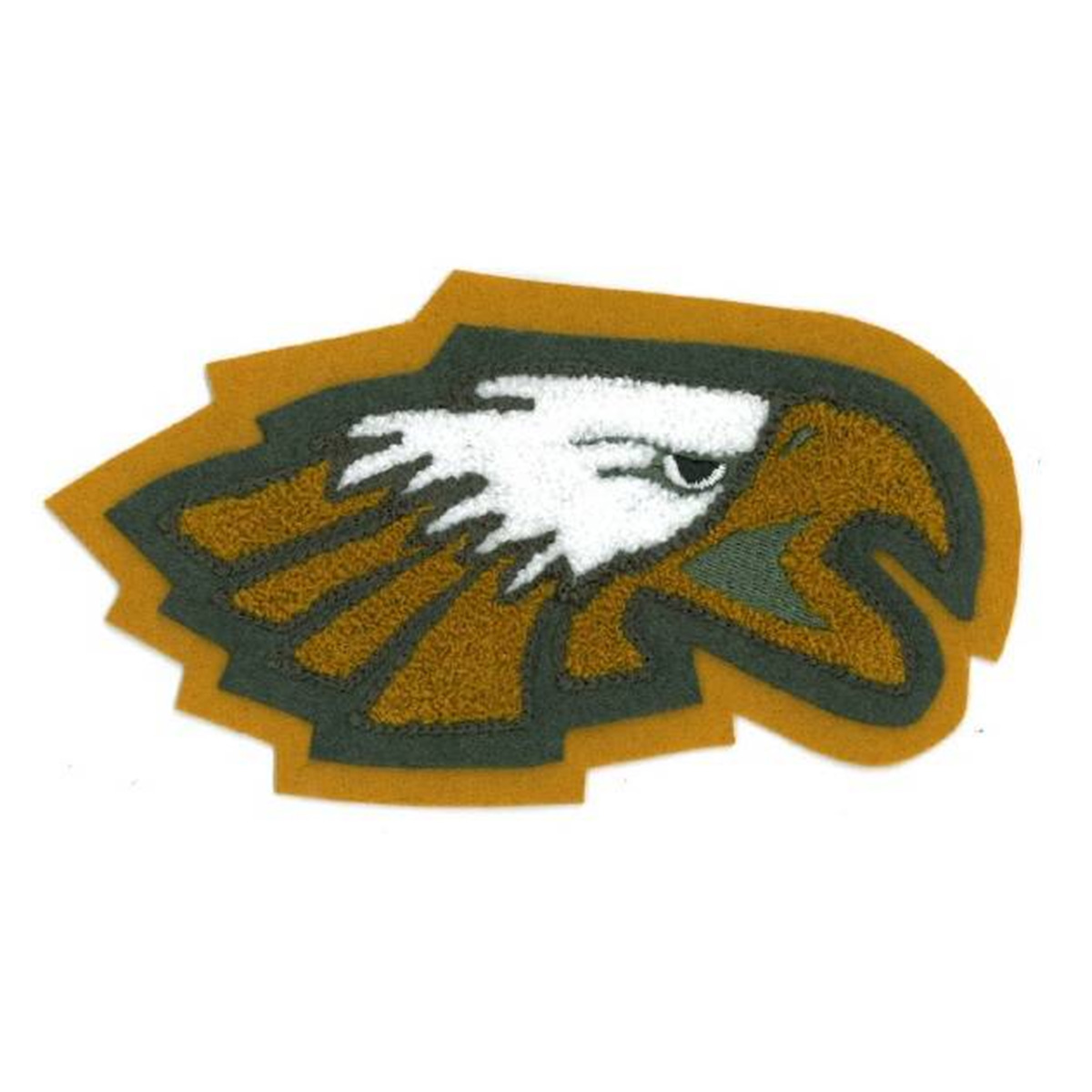 Cy Falls Eagle