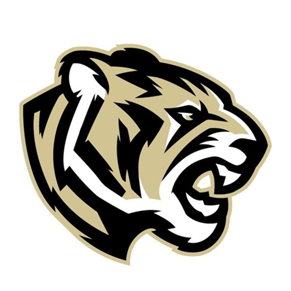Cy Park Tiger
