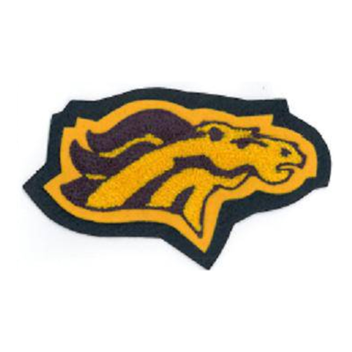 Cy Ranch Mustang