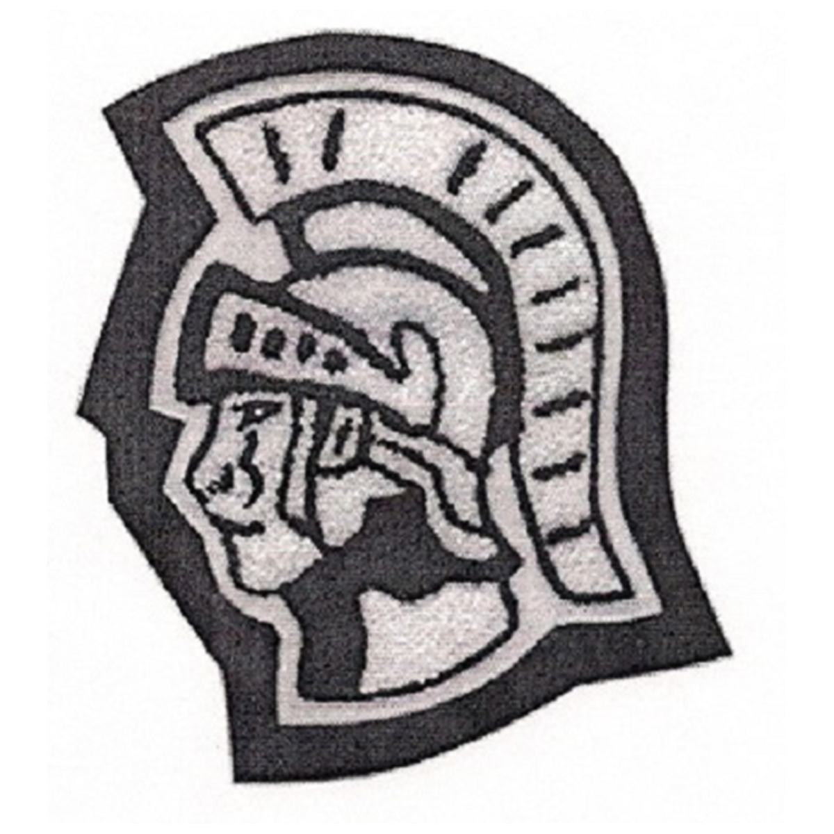 Cypress Christian Warrior