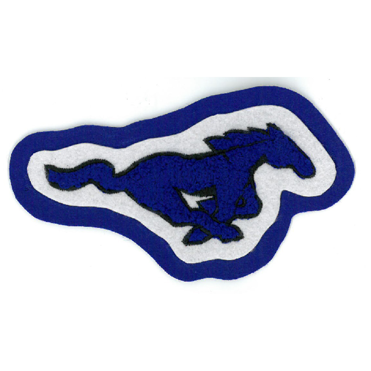 Friendswood Mustang