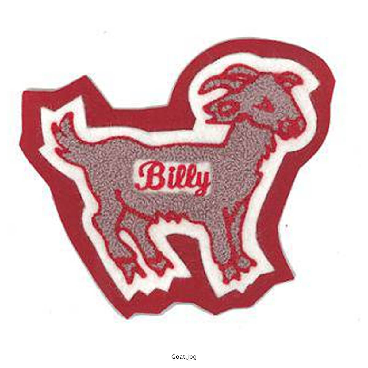 FFA Goat