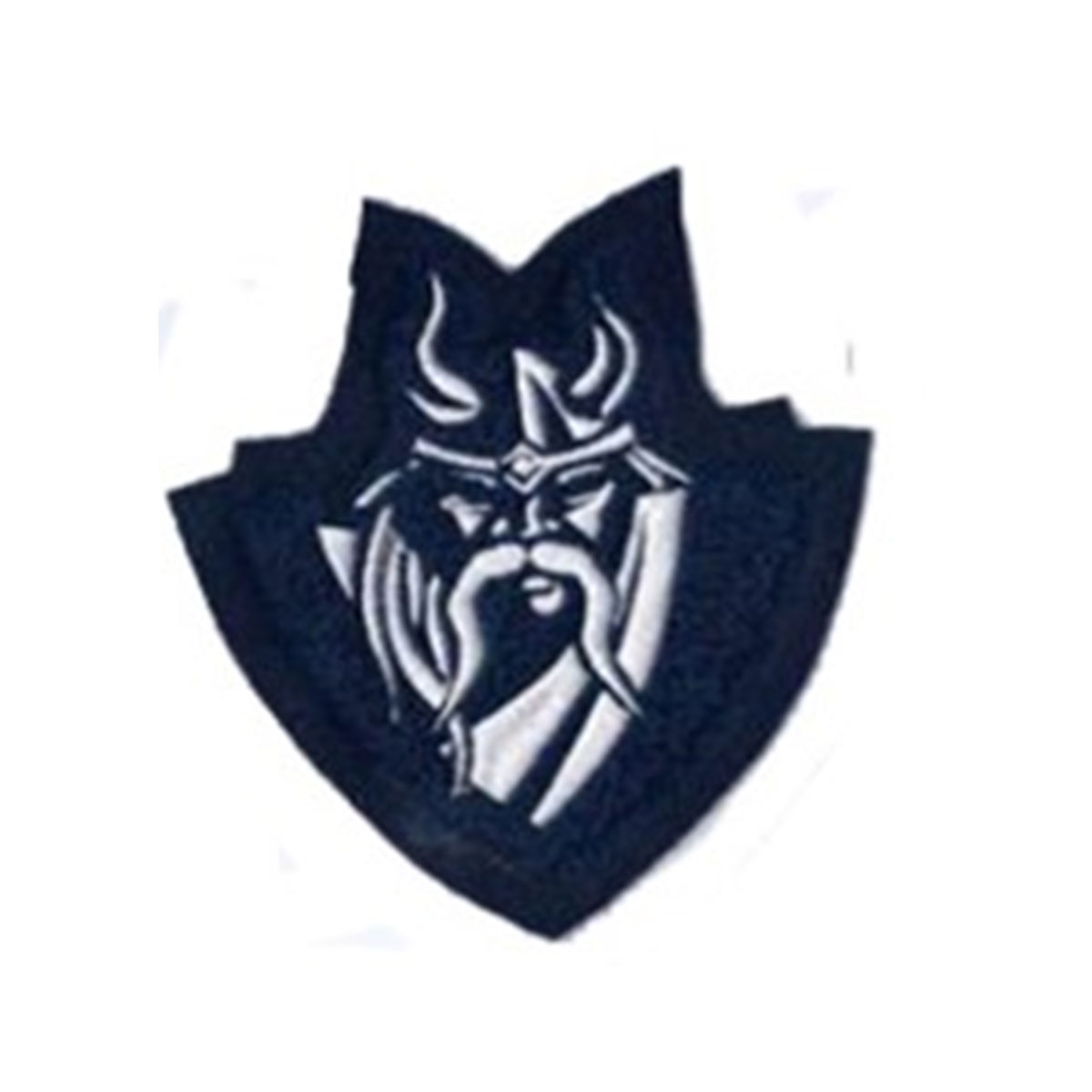 Village School Viking