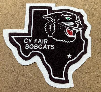 Texas with YOUR School Mascot (+8)