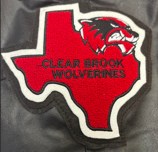 Texas with YOUR School Mascot (+8)