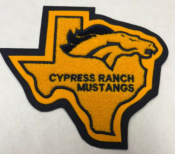 Texas with YOUR School Mascot (+8)